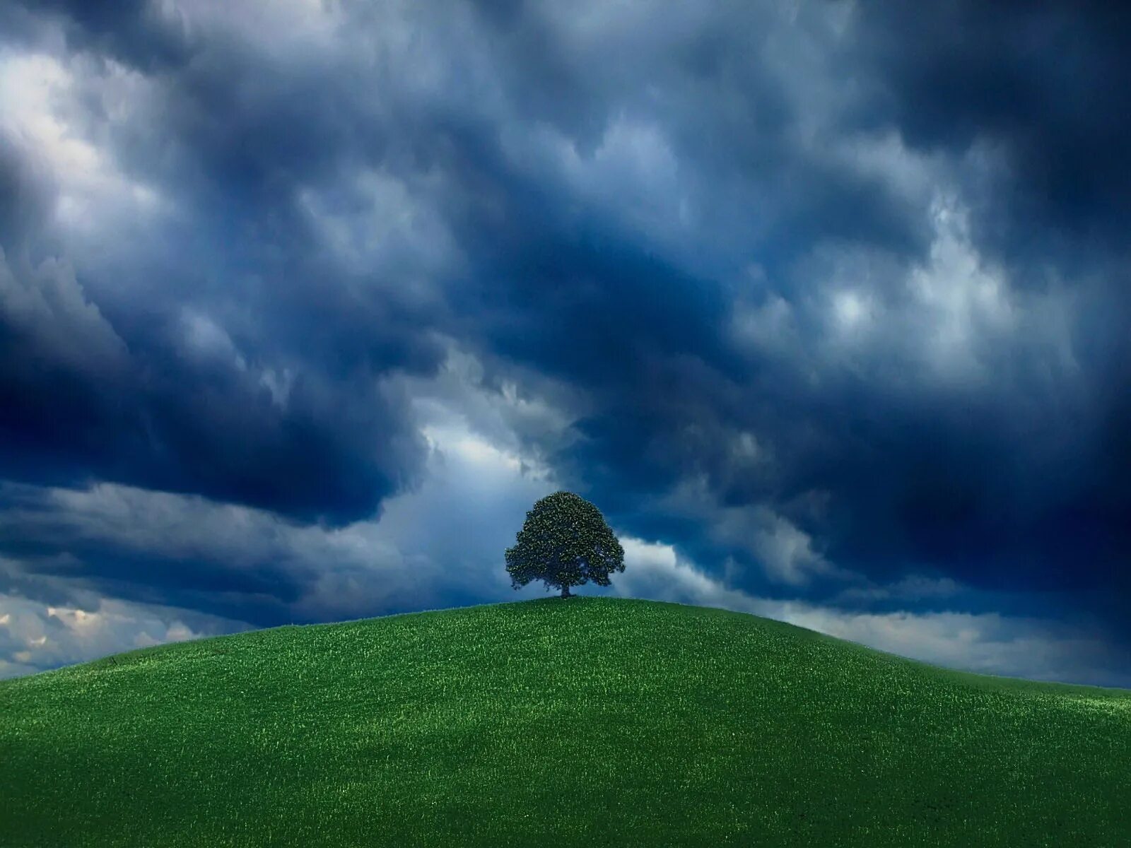 Look at those clouds. Дерево на Холме. Небо и деревья. Одинокий холм. Дерево на Холме на фоне неба.