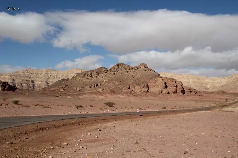 площадь пустыни негев. пустыня негев график погоды. змеи пустыни негев. крепость массада фото. негев тратратра.