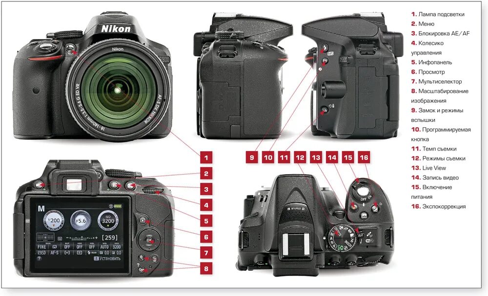 Сервис фотоаппаратов nikon undefined. Nikon d3100 кнопки управления.