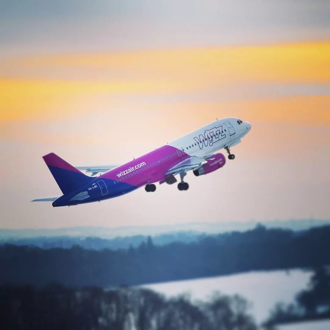 Wizzair москва. Wizz Air самолеты. Визаир Wizzair самолет. Wizz Air Abu Dhabi самолеты. Самолет Wizz Air Boeing 737.