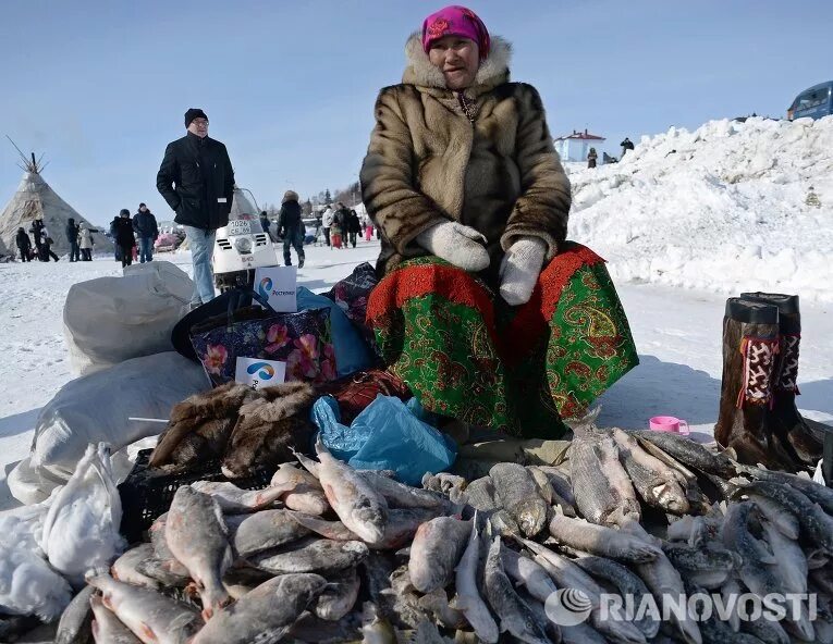 Ханты промысел. Ямало-Ненецкий автономный округ рыболовный промысел. Рыболовство ЯНАО. Ненцы рыбаки. Рыбалка народов севера.