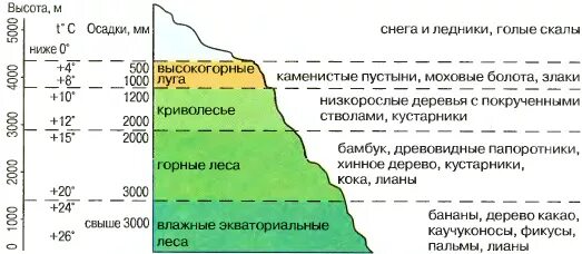 Высотная поясность в горных системах Евразии. Высотная поясность в Андах схема. Схема ВЫСОТНОЙ поясности анд. Природная зона ВЫСОТНОЙ поясности Южной Америки. Площадь какого высотного пояса сокращается в хибинах