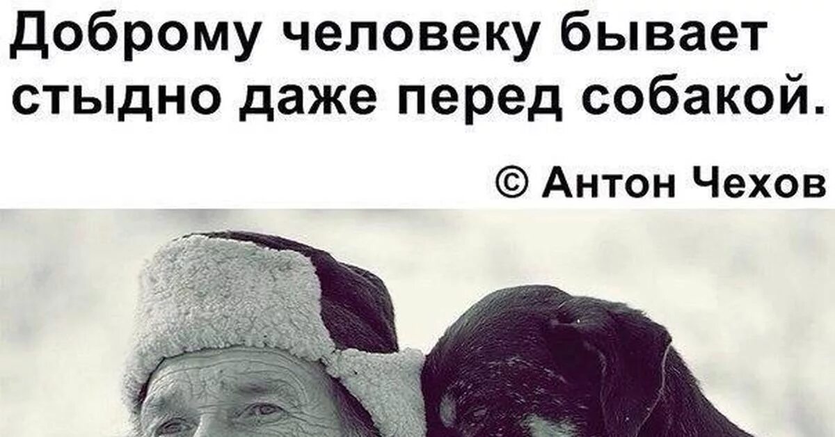 Собакам бывает стыдно. Доброму человеку бывает стыдно даже перед собакой. Стыдно даже перед собакой. Доброму человеку бывает стыдно. Хорошему человеку и перед собакой стыдно.