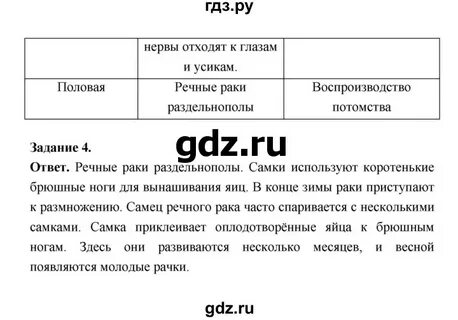 История параграф 24 ответы