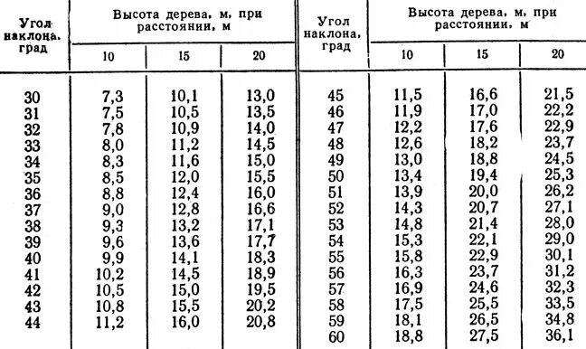 Значение height. Высота деревьев по диаметру. Как определить высоту дерева по диаметру. Таблица высоты деревьев по высоте. Диаметр дерева.