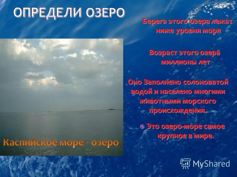 Карта затопления мира. Какие города ниже уровня моря. Нидерланды ниже уровня моря. Страна ниже уровня моря нидерланды. Карта затопления территорий.