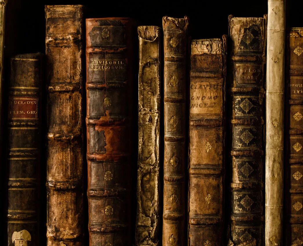 Книга старый порядок
