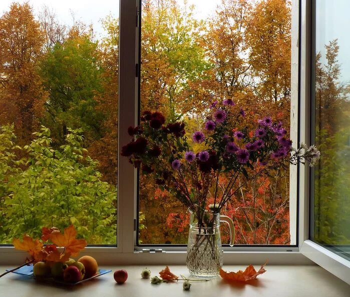 Листья на подоконнике. Окно осень. Осень из окна. Осень за окном. Пейзаж за окном.
