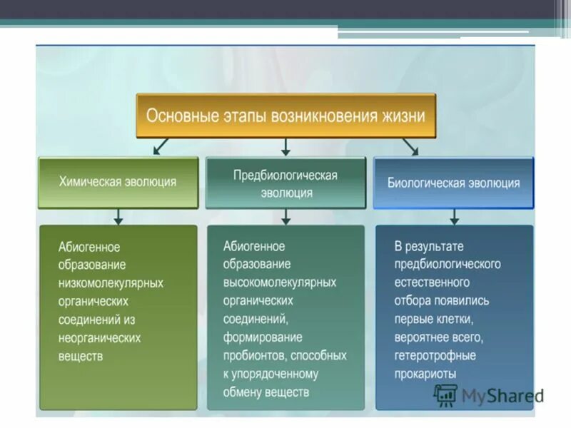 Теории происхождения живого