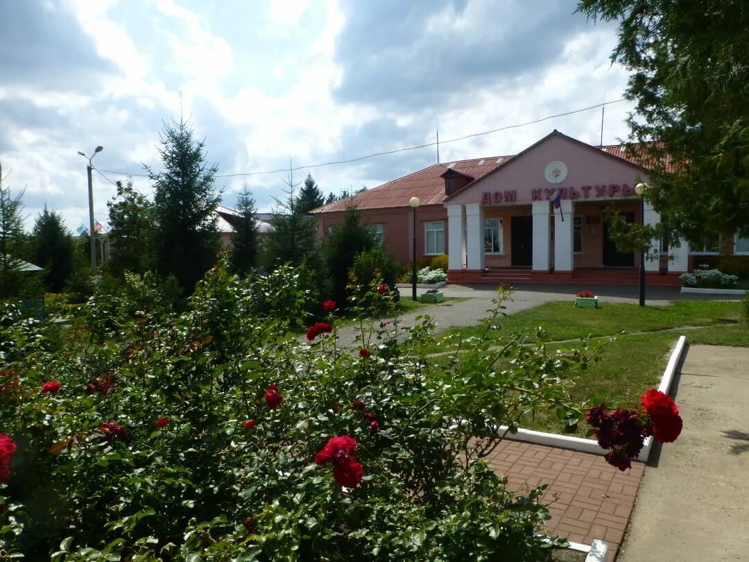 Погода село борки. Борки Валуйский район Белгородская область. Борчанская школа Валуйский район. Село Борки Валуйский район. ДК Борки Валуйский район.