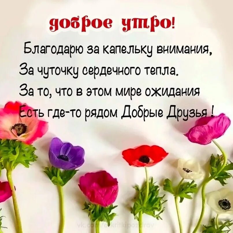 Благодарю за утро жизнь