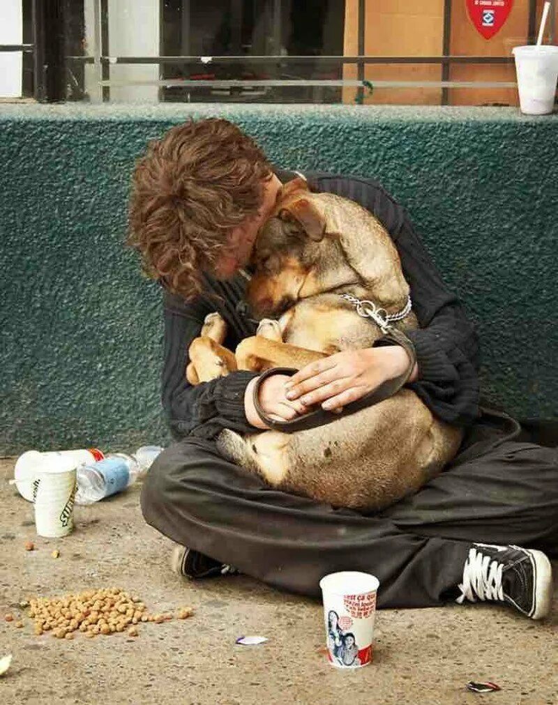 Бездомные животные. Бездомные собаки. Трогательные животные.