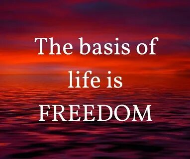 Freedom of life