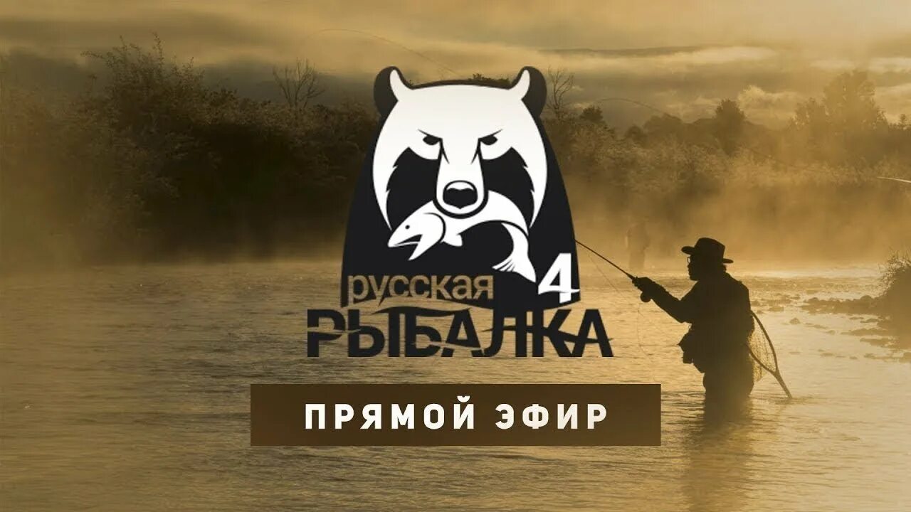 Рр4 на телефон. Рр4 на телефон. Рр4 на телефон. Рр4 на телефон. Логотип русской рыбалки 4.