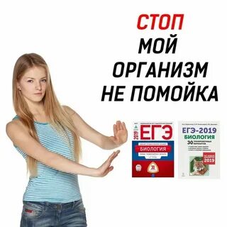 Досрок егэ 2024