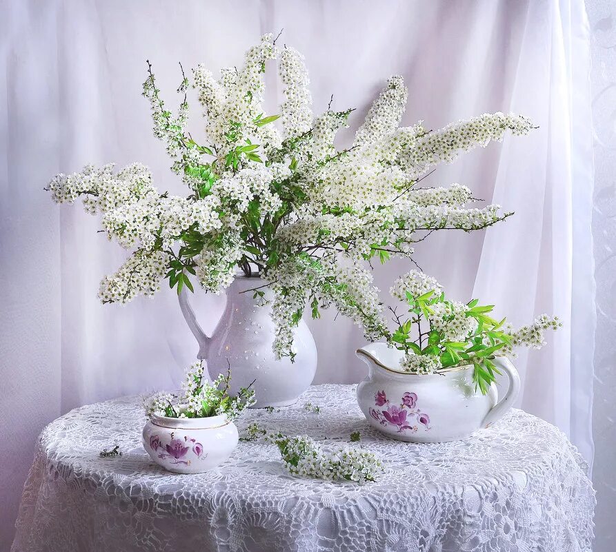 стихи про август красивые. вот уже появились душистые. влюбленные в черемухе. черёмуха душистая. вот уже появились душистые.