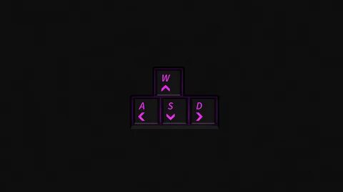 Wa s p