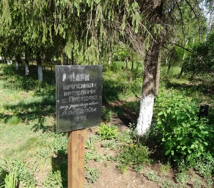 Оренбург село претория. Поселок переволоцкий. Оренбург село претория. Погода претории оренбургская область. Озеро в зубаревке оренбург.