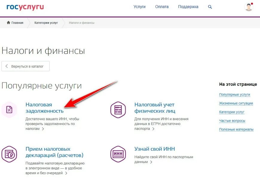 Оплати налоги госуслуги. Оплатить через госуслуги. Заплатить налоги через госуслуги. Оплата налога через госуслуги. Почему пришли налоги на госуслугах на