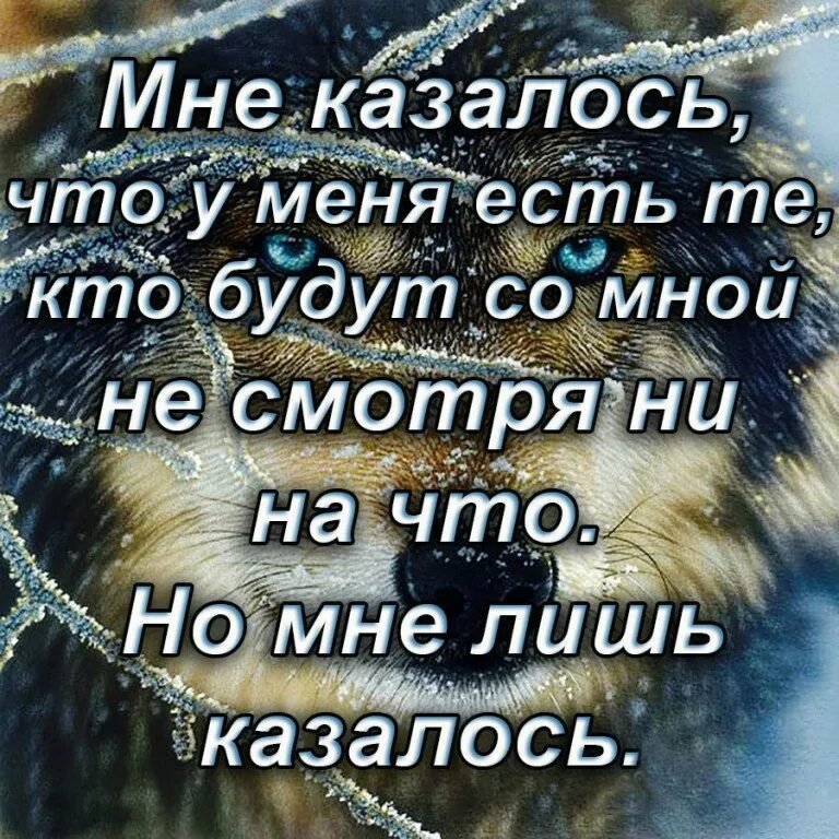 В смысле устала. Цитаты про жизнь. Высказывания про усталость. Цитаты про усталость. Афоризмы про усталость от жизни.