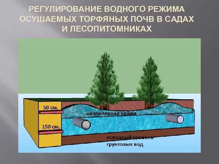 Водный режим характеризуется. Водный режим почв. Регулирование водного режима почв. Способы регулирования водного режима почв. Водный режим почв. Регулирование водного режима почв..