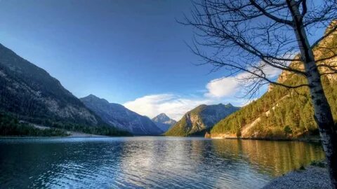 E nature