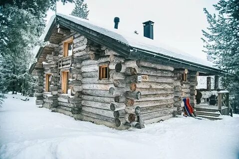 Срубы вологда