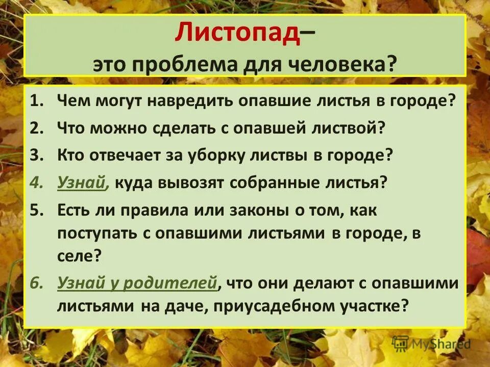 как растения готовятся к зиме подготовительная группа. презентация листопад. листопад это приспособление. схема листопада. причины листопада.