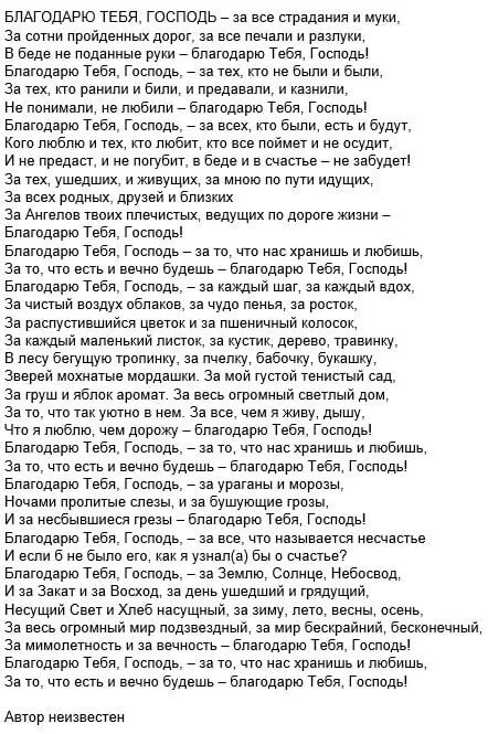 Песня благодарю тебя родной. Стихотворение благодарю тебя Господь. Песня благодарю тебя слова. Слова песни благодарю тебя Господь. Стихи за все тебя благодарю.