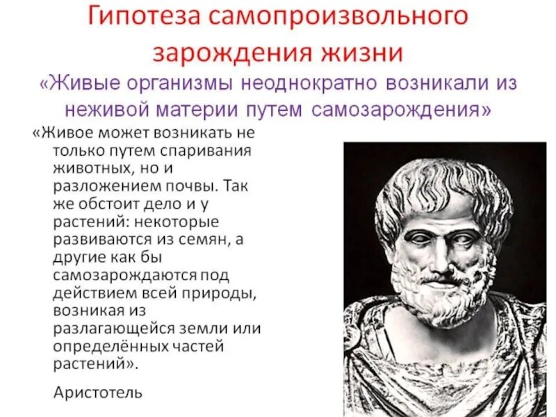 Гипотеза живое из неживого. Аристотель самозарождение жизни. Гипотеза Аристотеля о самозарождении жизни. Гипотеза самозарождения жизни сторонники. Теория самопроизвольного зарождения жизни на земле.