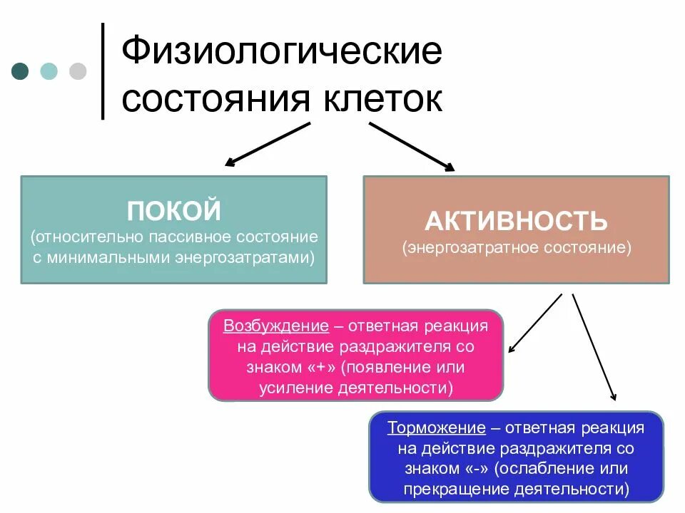 Физическое состояние клетки. Физиологическое состояние. Эйфирологическое состояние. Физиологическое состояние клетки. Состояние покоя и активности возбудимых тканей.