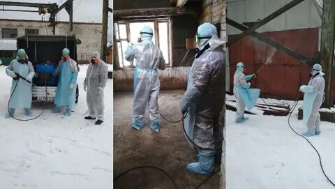 Заключительную дезинфекцию в очаге проводит