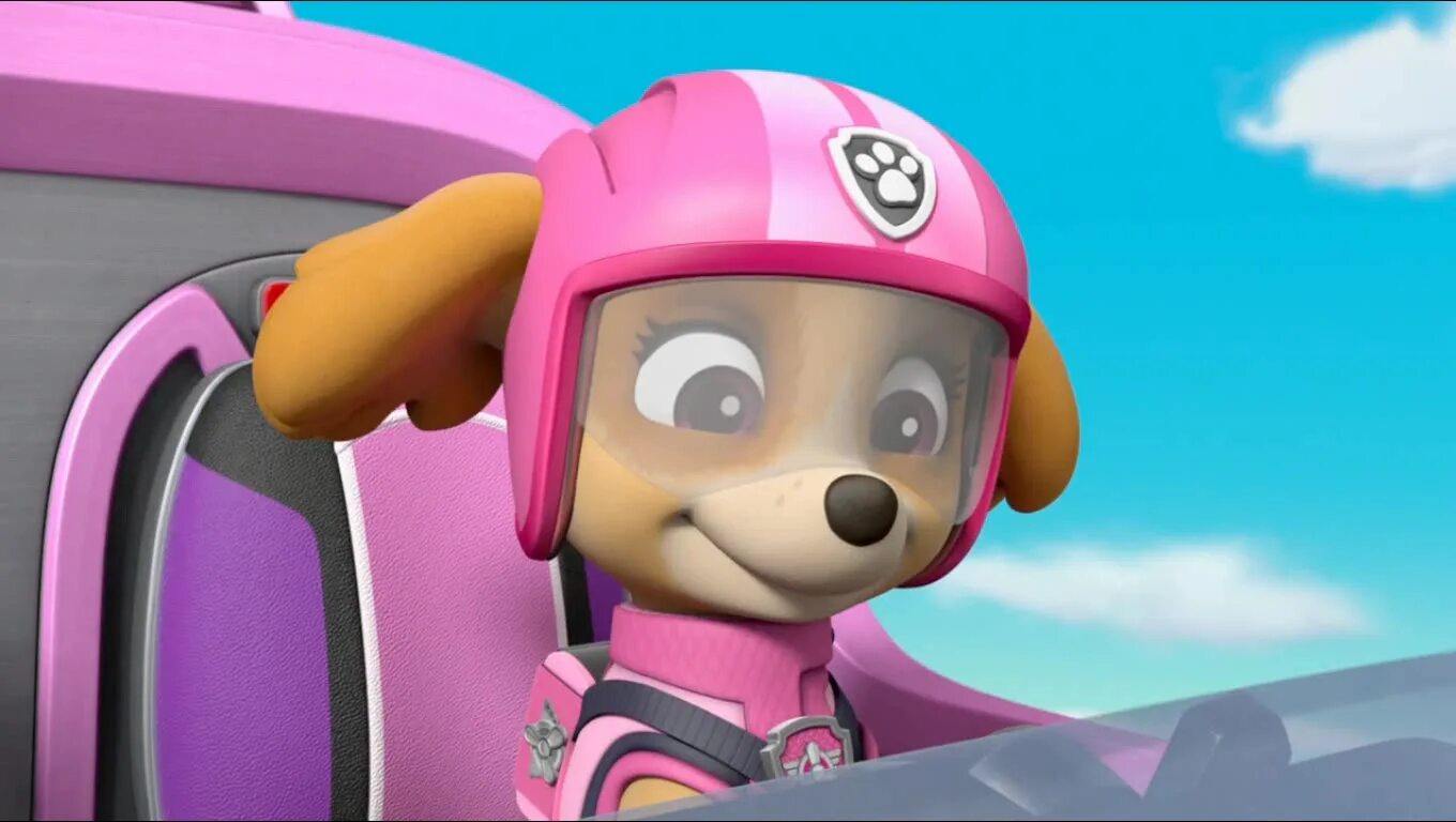 Включи патруль громкость. Paw Patrol Skye. Paw Patrol Chase and Skye. Sea Patrol Skye.