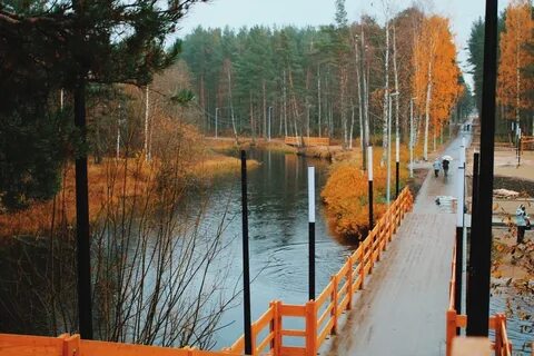 Вичок