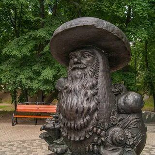 Где находятся грибы с глазами в рязани