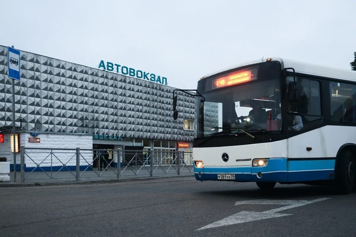 Автобус 345 калининград большаково. Автовокзал Калининград. Автовокзал Калининград 2023. Автобусы Калининград. Южный автовокзал Калининград.