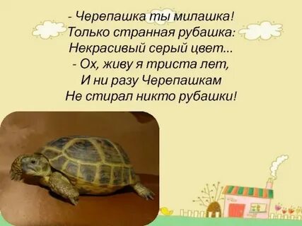 Черепаха как то раз на пригорок взобралась