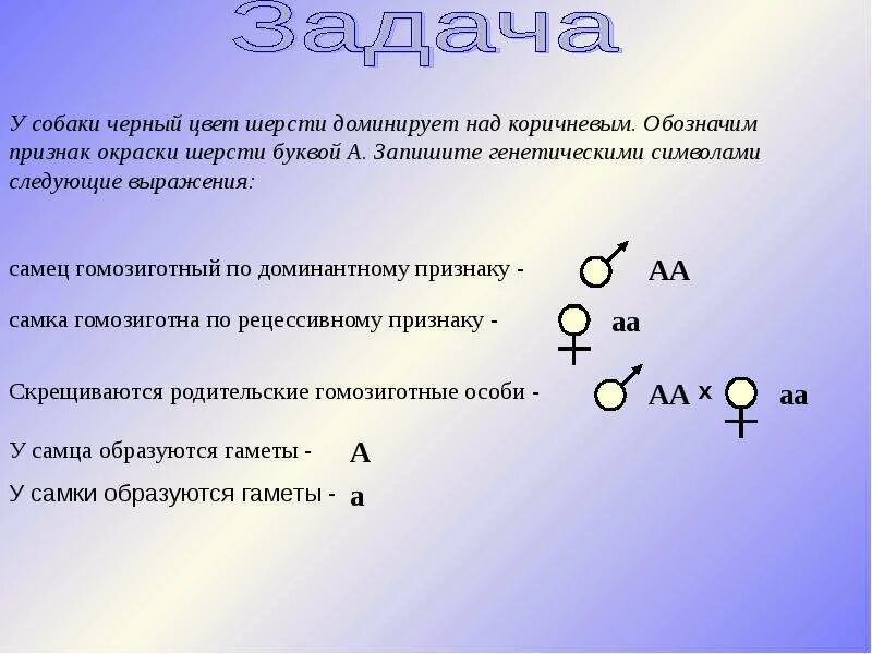 При скрещивании чистой линии мышей. Чёрный цвет доминирует над коричневым. У собак черный цвет шерсти доминирует над коричневым. У собаки черная окраска шерсти доминирует. Чёрная окраска шерсти доминирует над коричневой окраской ?.