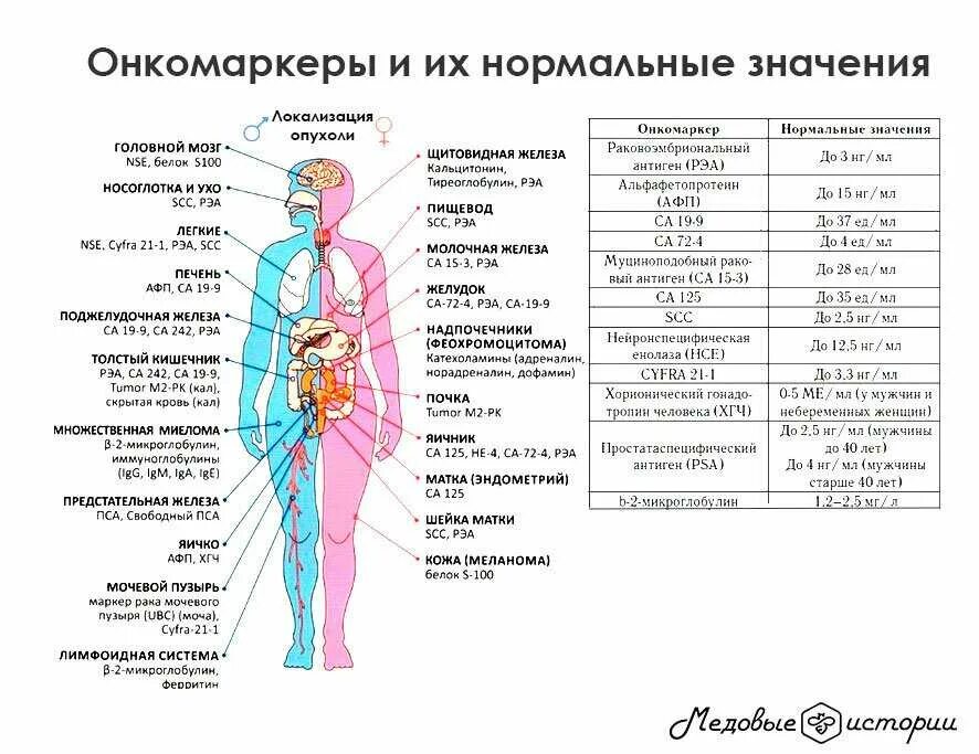 Анализ крови головного мозга. Что такое онкомаркеры крови у мужчин норма таблица. Онкомаркеры по локализации опухоли. Таблица онкомаркеров для женщин расшифровка. Онкомаркеры са128.