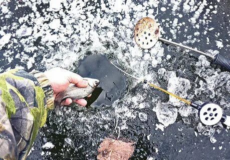 Сон пойманную рыбу отпускать