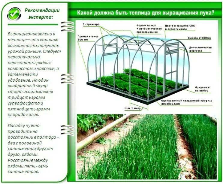 Сколько теплице