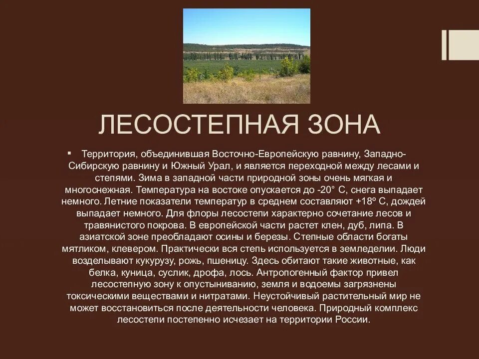 Природные условия лесостепи. Сообщение о лесостепной зоне. Характеристика лесостепи. Сообщение природные зоны России. Тип почвы русской равнины