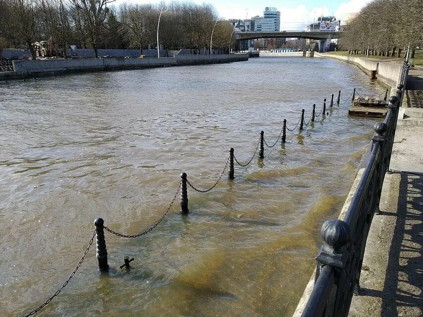 Какой уровень воды на сегодня. Река Преголя Калининградская область. Река Преголя Устье. Набережная Преголя. Преголь река Калининград порт.