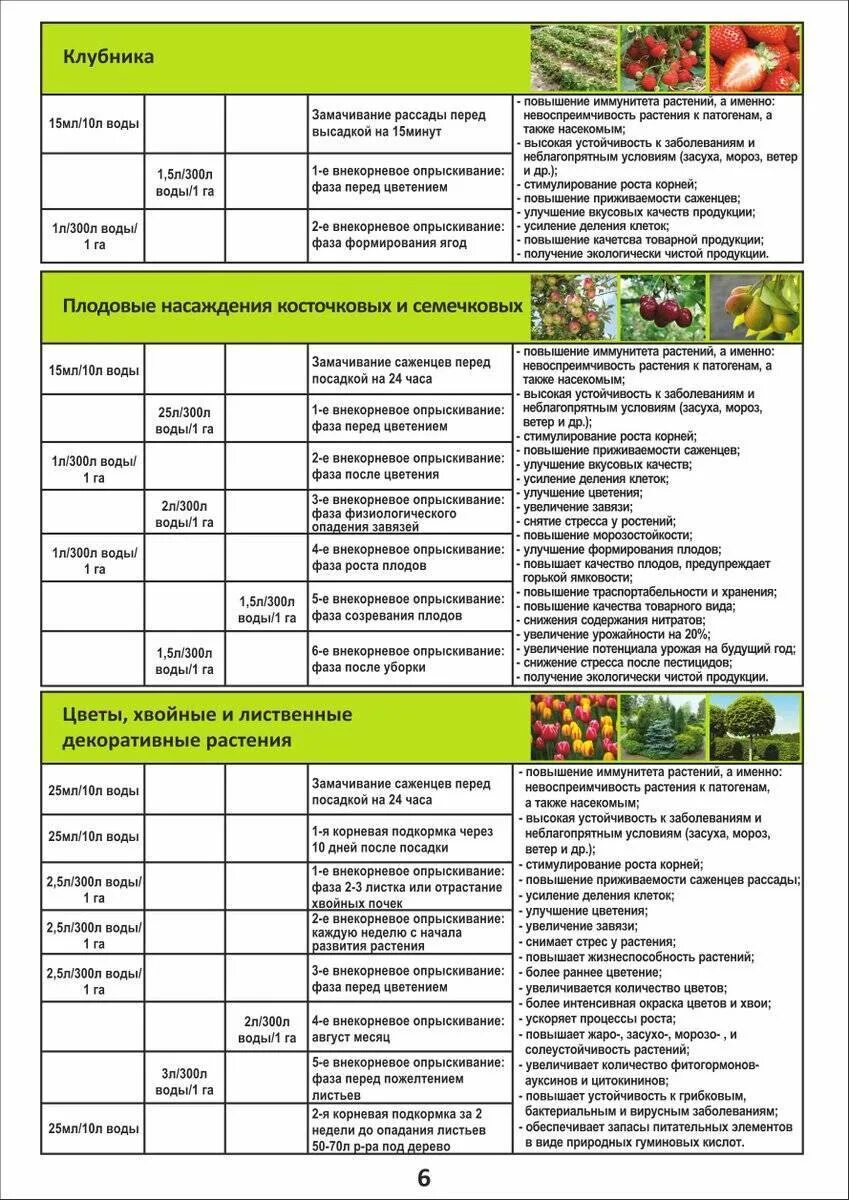 Таблица весенних подкормок плодовых деревьев и кустарников. Таблица весенней подкормки плодовых деревьев. Схема удобрения плодовых деревьев. Подкормка плодовых кустарников таблица.