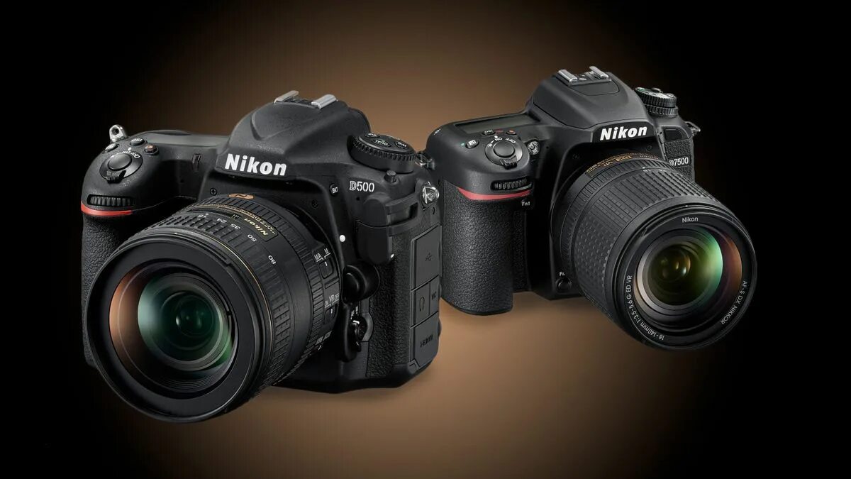 Nikon d7500 примеры фото Цифровая фотокамера Nikon D7500 + AF-S DX 35 f/1.8G (VBA510K007) купить ELMIR