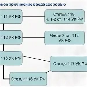 Заранее не обещанное укрывательство преступлений. Статья 316 УК РФ. Ст. 316 УК объект. 316 УК РФ состав. Ст 115 состав.