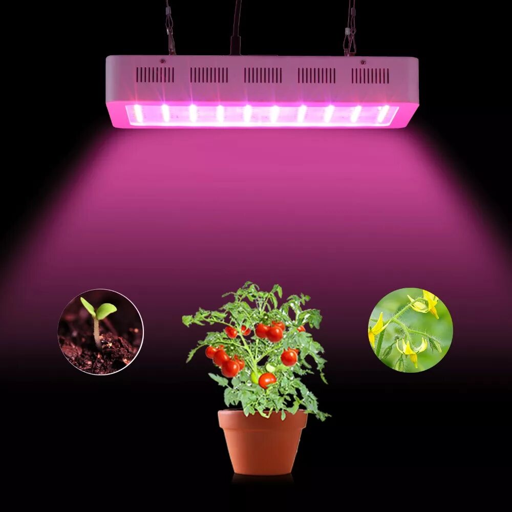 Светильник для фитолампы. Фитолампа светодиодная grow Light 3000w 169 led. Фитолампа gr14 655mm. Лампа для растений Uniel полный спектр. Фитолампа для растений 150 Вт полный спектр.