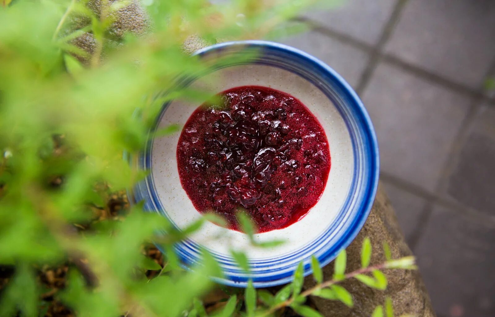 Соус из брусники к мясу. Соус из брусники. Брусничный соус. Брусничный соус к мясу. Брусничный соус хайнц.