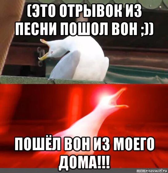 Не в меня пошел песня текст. Не в меня пошел песня текст