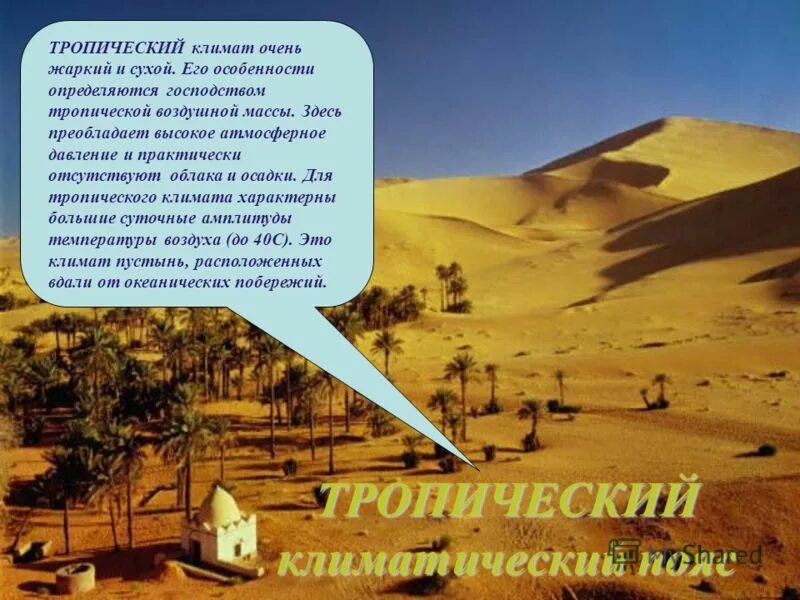 тропический климат. описание тропического климата. климат животные и растения тропических лесов. климат египта пояса. климат в влажных тропических лесах.